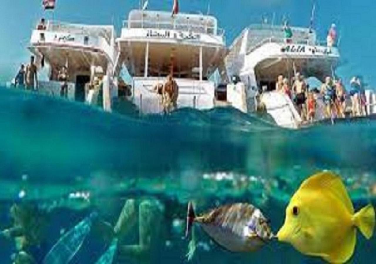 Joynant-Gouna Kite Road-2Room Mangroovy Free Beach Access - Pool View- Хургада Екстериор снимка